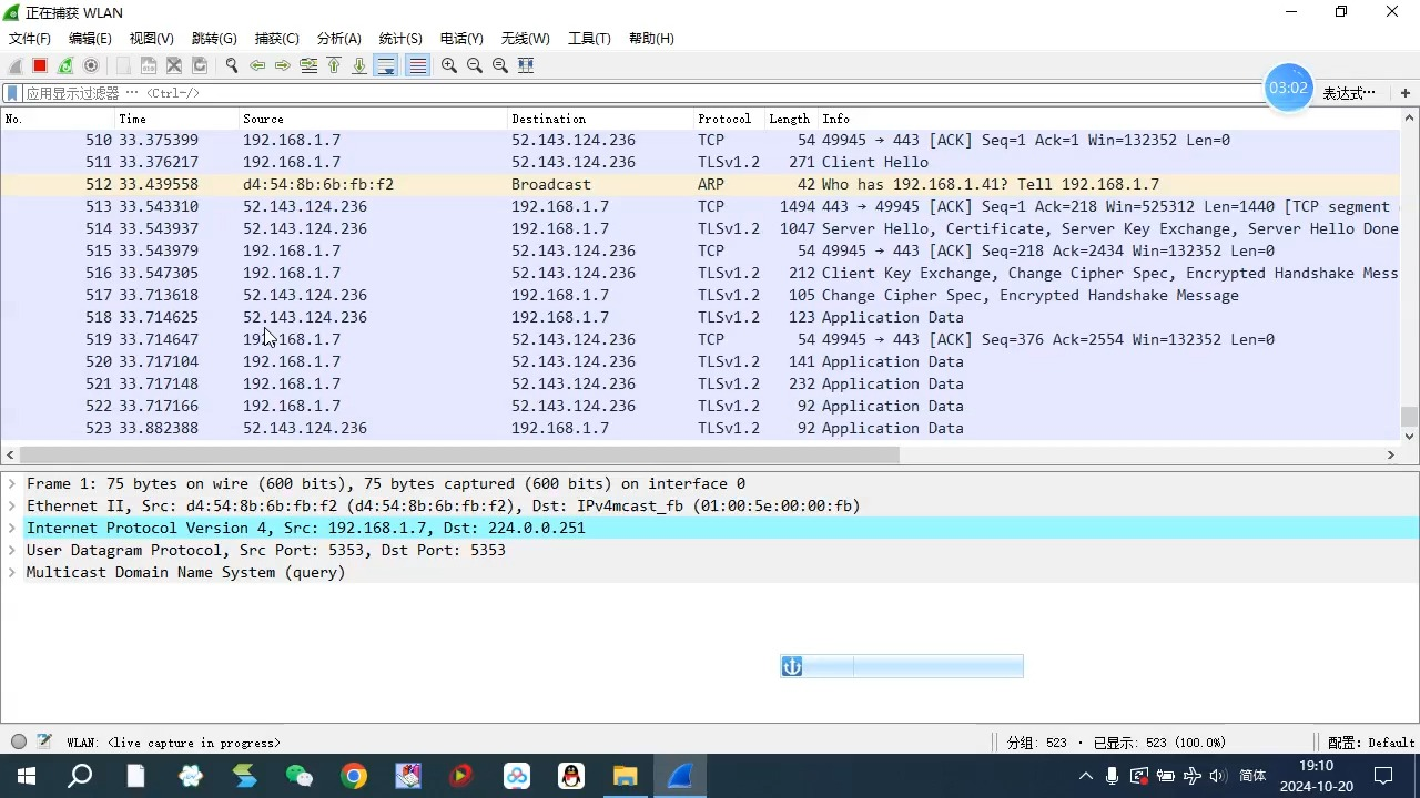 Wireshark 软件界面截图 - 网络协议分析器主界面展示数据包捕获与协议层级分析